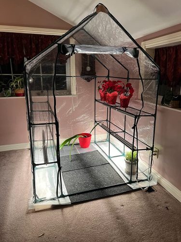 Outdoor 56" W x 56" D x 76" H Green House (Transparent Cover) photo review