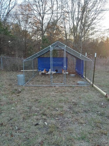 3X4m Large Metal Chicken Coop photo review