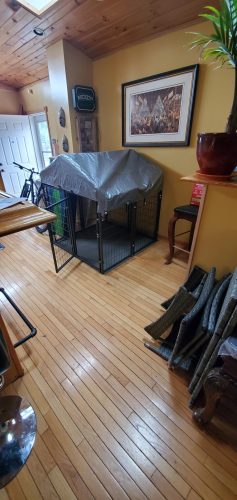 Dog Kennel with Waterproof Cover photo review